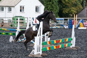 Class 5 - Fences not above 2'6